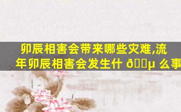 卯辰相害会带来哪些灾难,流年卯辰相害会发生什 🐵 么事